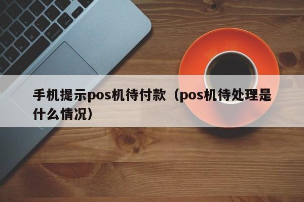 手机提示pos机待付款（pos机待处理是什么情况）