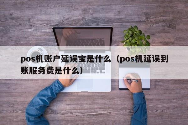 pos机账户延误宝是什么（pos机延误到账服务费是什么）