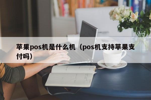 苹果pos机是什么机（pos机支持苹果支付吗）