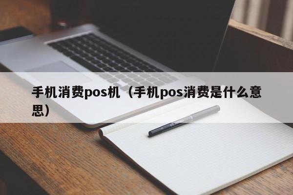 手机消费pos机（手机pos消费是什么意思）