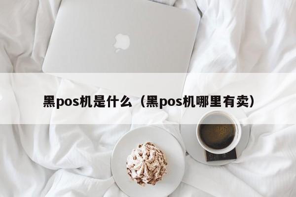 黑pos机是什么（黑pos机哪里有卖）