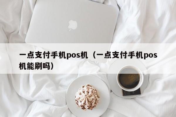 一点支付手机pos机（一点支付手机pos机能刷吗）