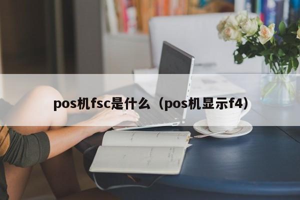 pos机fsc是什么（pos机显示f4）