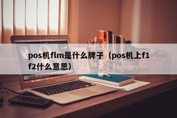 pos机flm是什么牌子（pos机上f1f2什么意思）