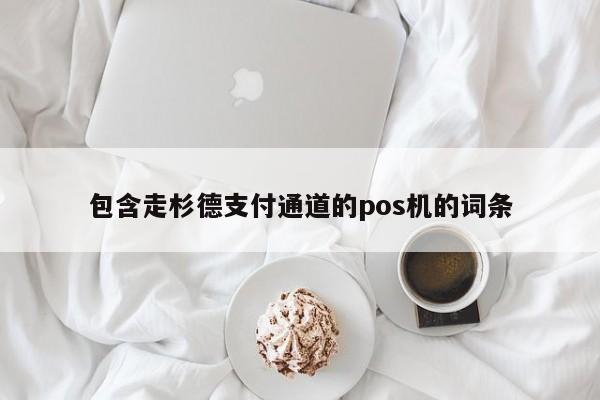 包含走杉德支付通道的pos机的词条