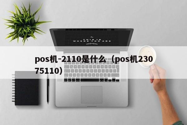 pos机-2110是什么（pos机23075110）