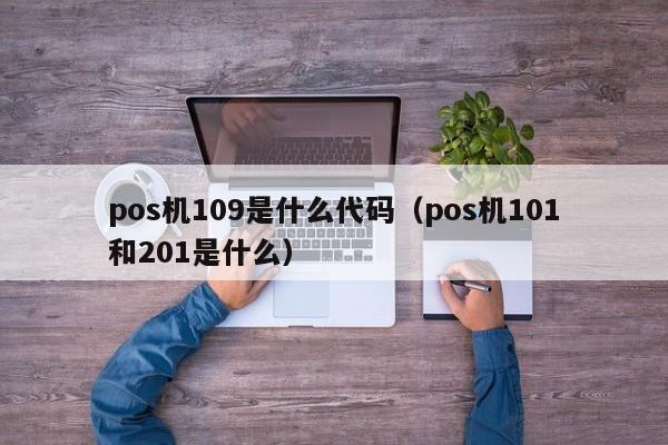 pos机109是什么代码（pos机101和201是什么）