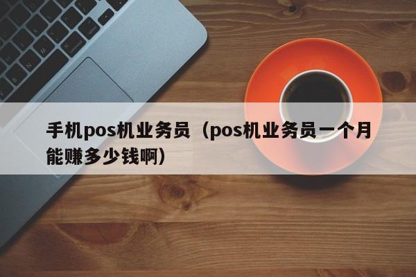 手机pos机业务员（pos机业务员一个月能赚多少钱啊）