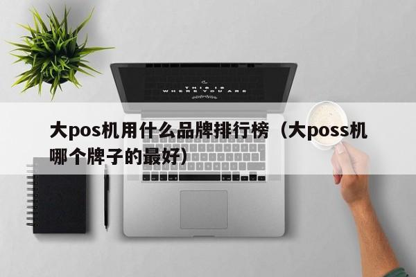 大pos机用什么品牌排行榜（大poss机哪个牌子的最好）