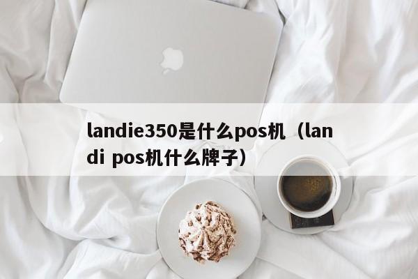 landie350是什么pos机（landi pos机什么牌子）