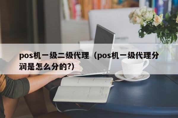 pos机一级二级代理（pos机一级代理分润是怎么分的?）