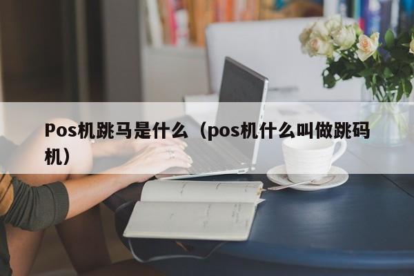 Pos机跳马是什么（pos机什么叫做跳码机）