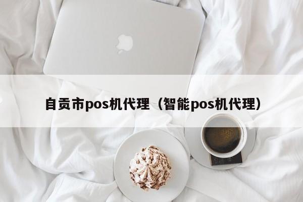 自贡市pos机代理（智能pos机代理）