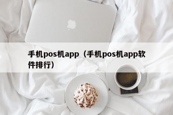 手机pos机app（手机pos机app软件排行）