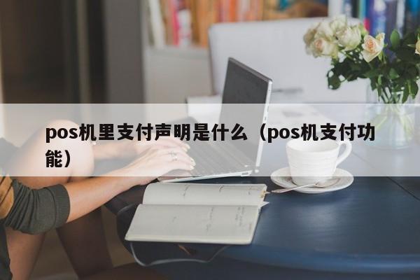 pos机里支付声明是什么（pos机支付功能）