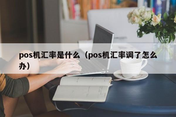 pos机汇率是什么（pos机汇率调了怎么办）