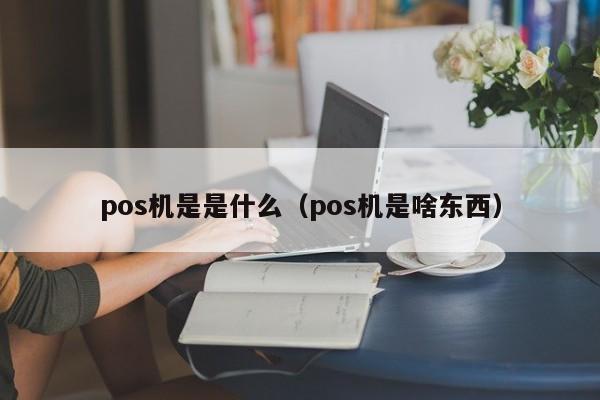 pos机是是什么（pos机是啥东西）