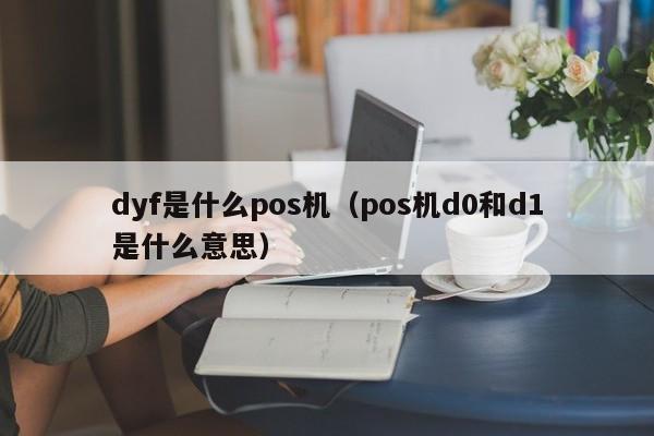 dyf是什么pos机（pos机d0和d1是什么意思）