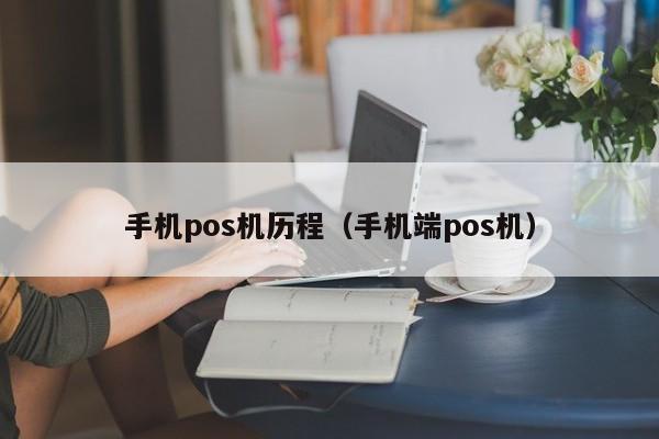 手机pos机历程（手机端pos机）