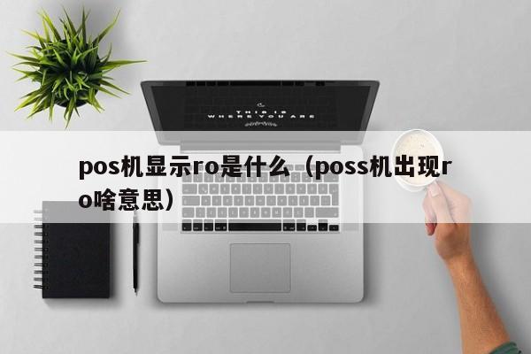 pos机显示ro是什么（poss机出现ro啥意思）