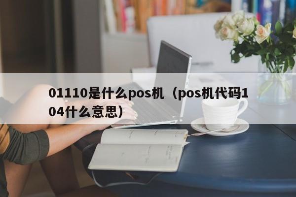 01110是什么pos机（pos机代码104什么意思）