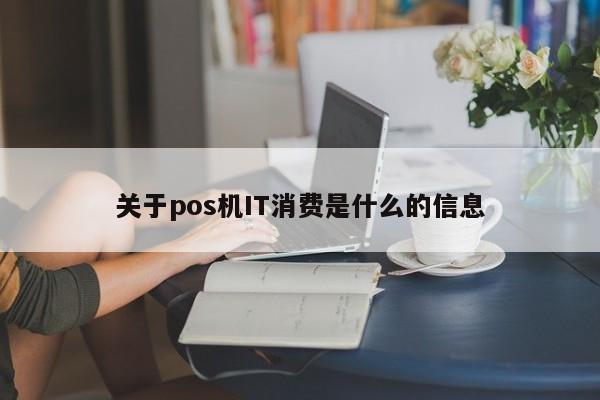 关于pos机IT消费是什么的信息