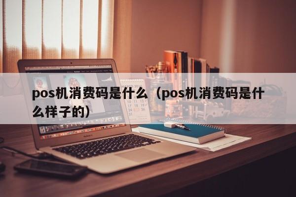 pos机消费码是什么（pos机消费码是什么样子的）