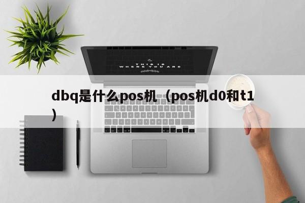 dbq是什么pos机（pos机d0和t1）