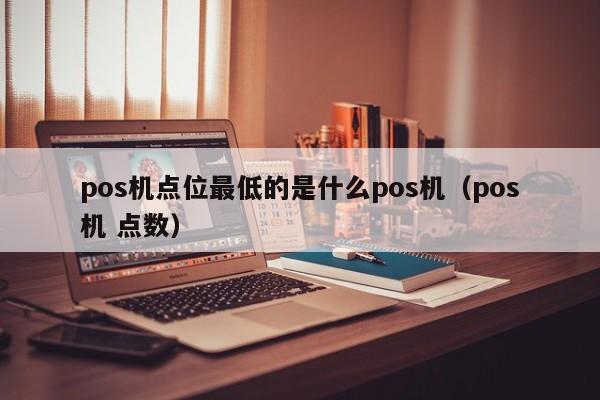 pos机点位最低的是什么pos机（pos机 点数）