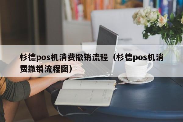 杉德pos机消费撤销流程（杉德pos机消费撤销流程图）