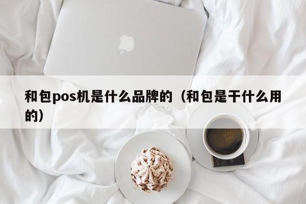 和包pos机是什么品牌的（和包是干什么用的）