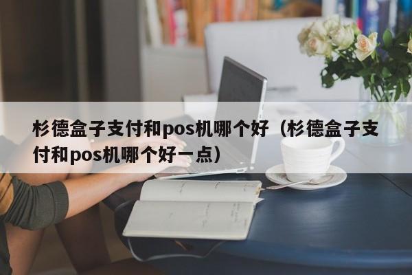 杉德盒子支付和pos机哪个好（杉德盒子支付和pos机哪个好一点）