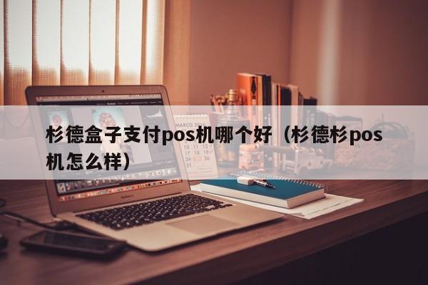 杉德盒子支付pos机哪个好（杉德杉pos机怎么样）