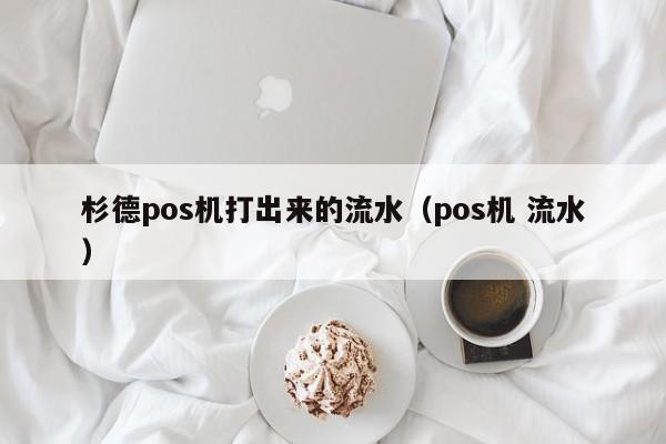 杉德pos机打出来的流水（pos机 流水）