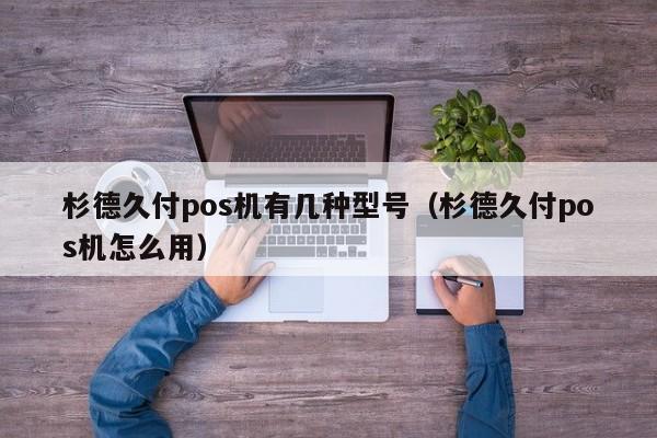 杉德久付pos机有几种型号（杉德久付pos机怎么用）